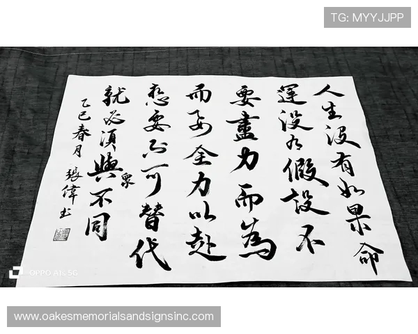 埃尔马斯谈多重角色定位：无论何种职责都全力以赴尽力而为